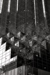 307181_1656641711608_1117783089_n