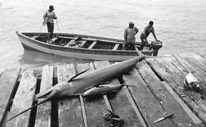 781631-85006fb1db6dd03e