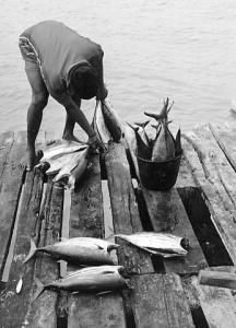 789248-031089b5cbf9c711