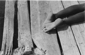 823706-4287355b99f4c402