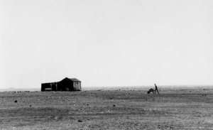 826335-abb67e980437b521