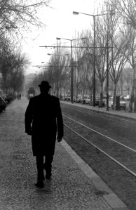 My beautiful picture